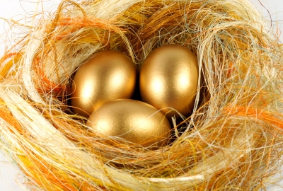 Are You Looking For The Golden Egg or The Goose That Laid It?